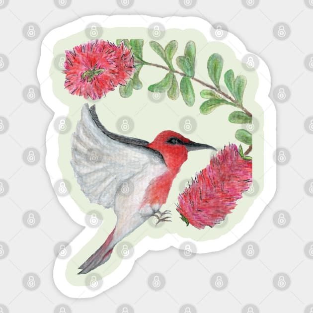 Scarlet Honeyeater Sticker by AussieLogic